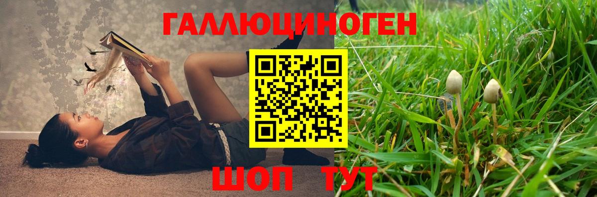 Псилоцибиновые грибы Cubensis  Вход с VPN  Архангельск 